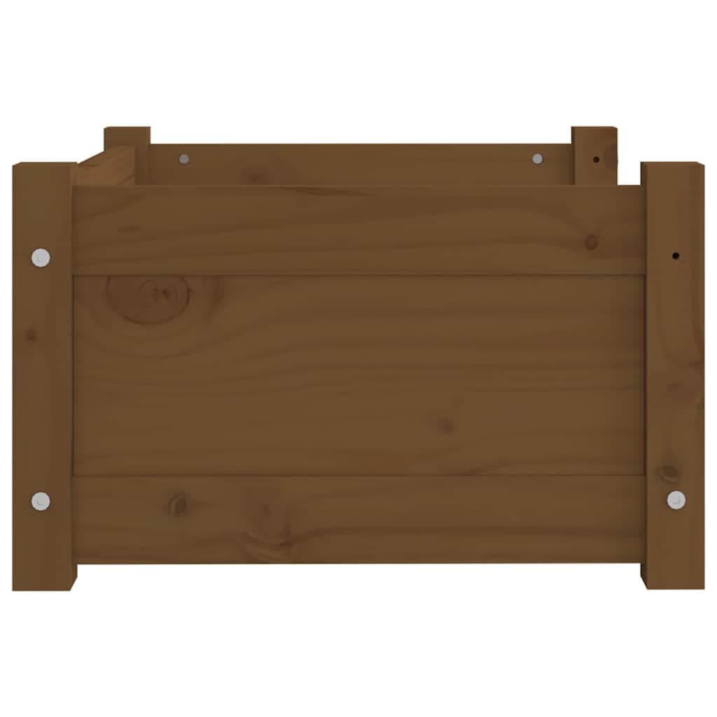 Cuccia per Cani Ambra 55,5x45,5x28 cm Legno Massello di Pino — miniatura 5 di 7