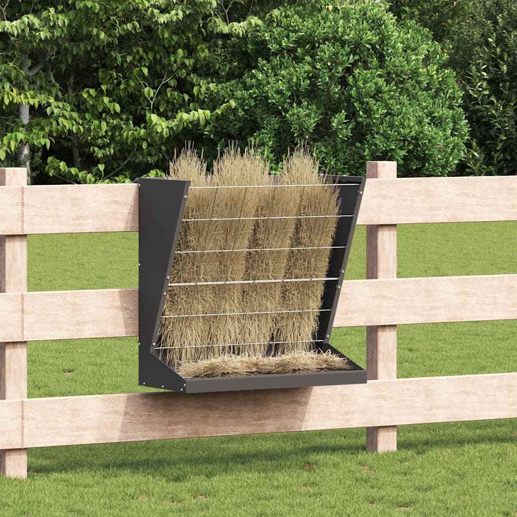 Nutriente per Fieno Nero 71 x 33 x 70 cm 5 kg — foto 1 di 10