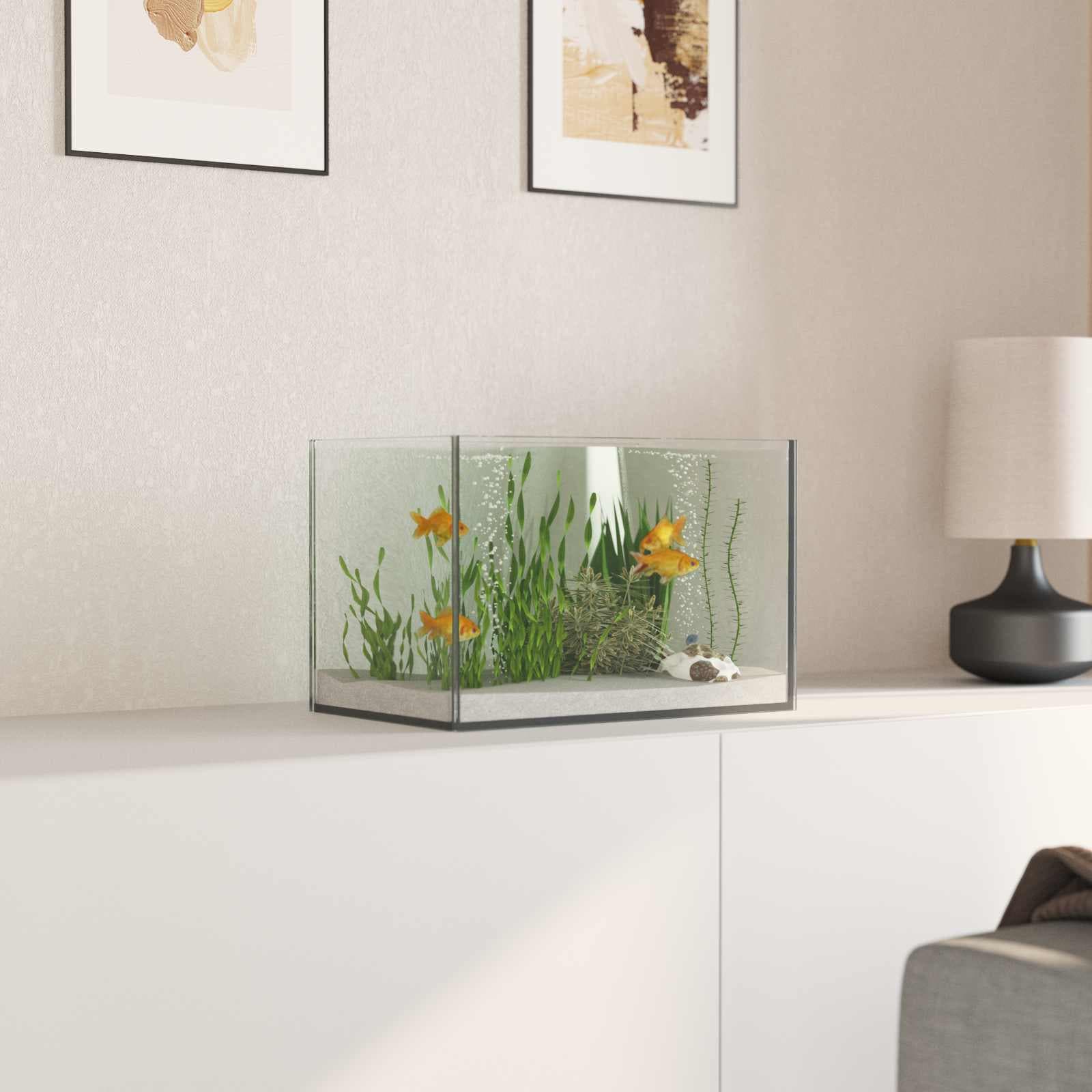 Acquario con archiviazione Trasparente 30 x 20 x 20 cm Vetro — miniatura 4 di 10
