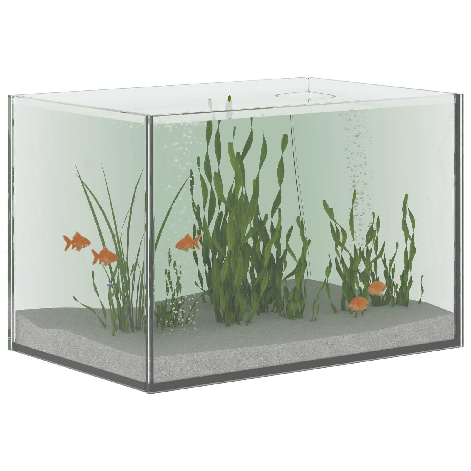 Acquario con archiviazione Trasparente 30 x 20 x 20 cm Vetro — miniatura 3 di 10