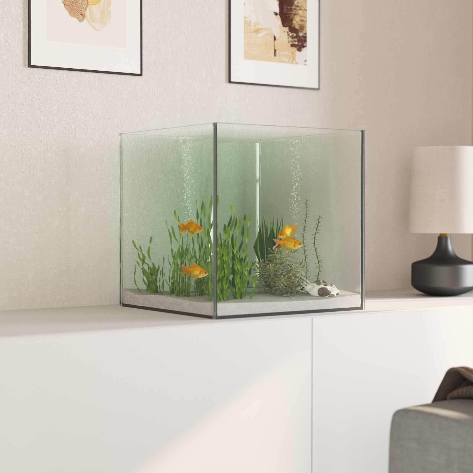 Acquario con archiviazione Trasparente 30 x 30 x 30 cm Vetro — miniatura 4 di 10