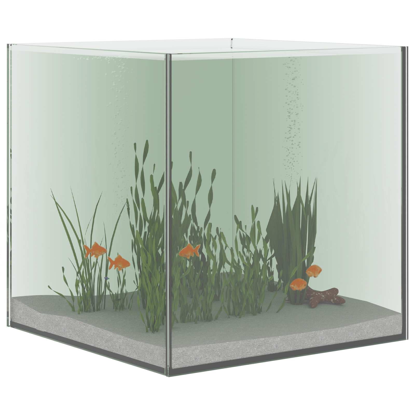 Acquario con archiviazione Trasparente 30 x 30 x 30 cm Vetro — miniatura 3 di 10