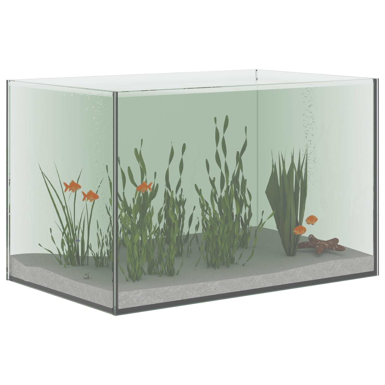 Acquario con archiviazione Trasparente 40 x 25 x 25 cm Vetro — miniatura 3 di 10