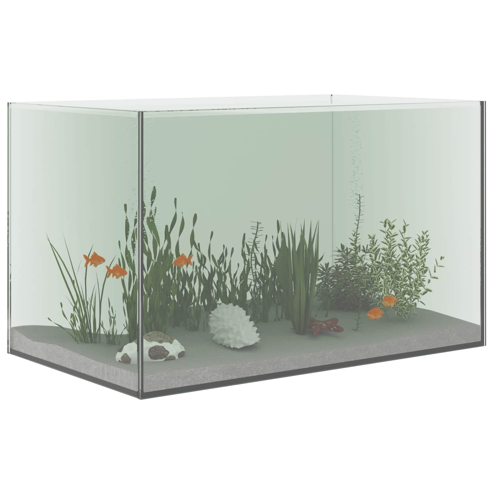 Acquario con archiviazione Trasparente 50 x 30 x 30 cm Vetro — miniatura 3 di 10