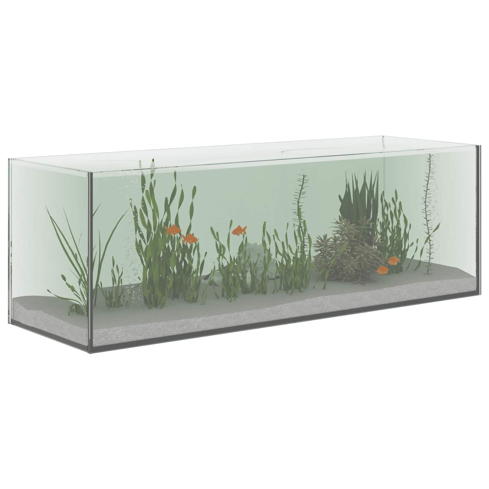Acquario con archiviazione Trasparente 60 x 20 x 20 cm Vetro — miniatura 3 di 10