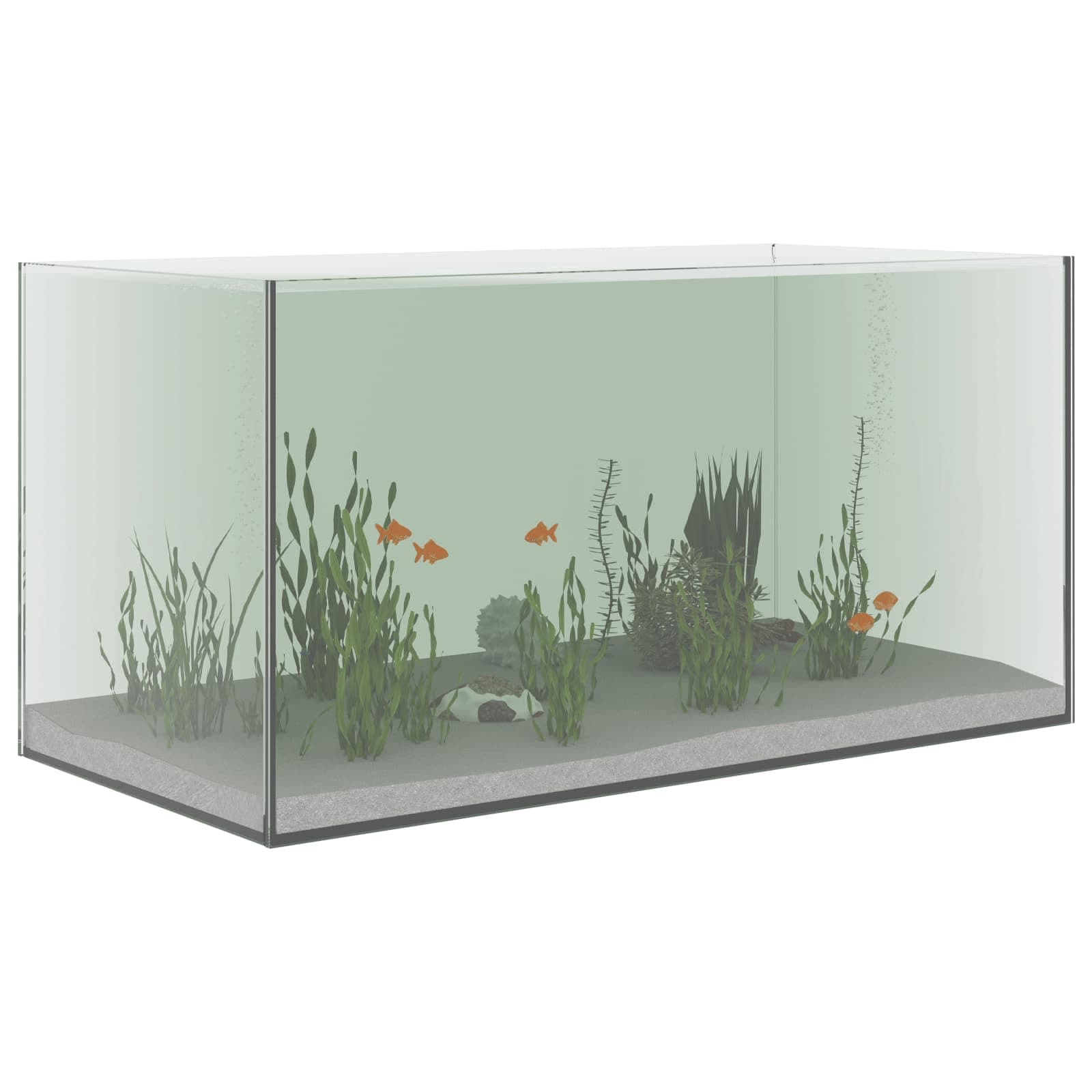 Acquario con archiviazione Trasparente 60 x 30 x 30 cm Vetro — miniatura 3 di 10