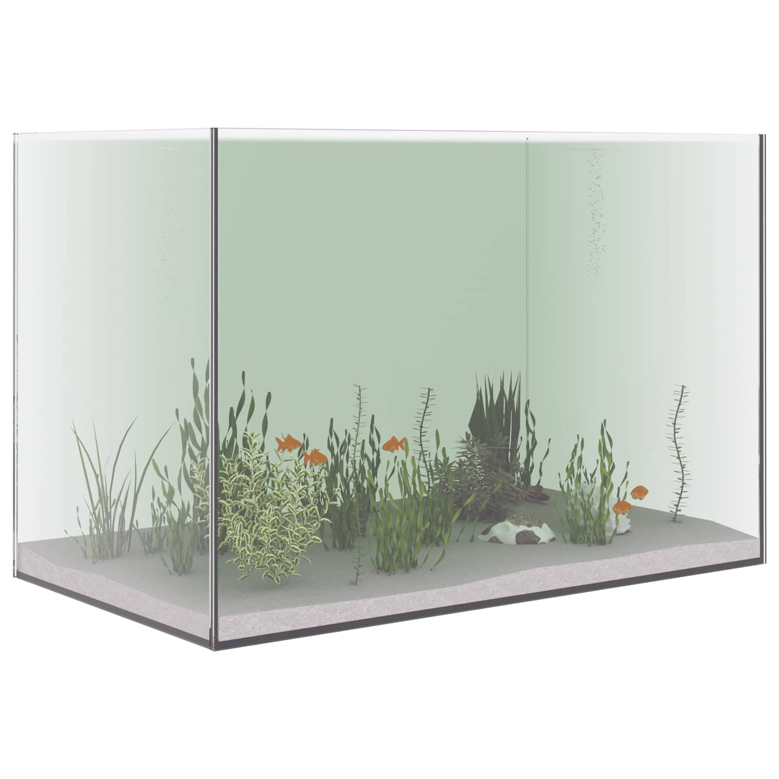 Acquario con archiviazione Trasparente 60 x 35 x 40 cm Vetro — miniatura 3 di 10
