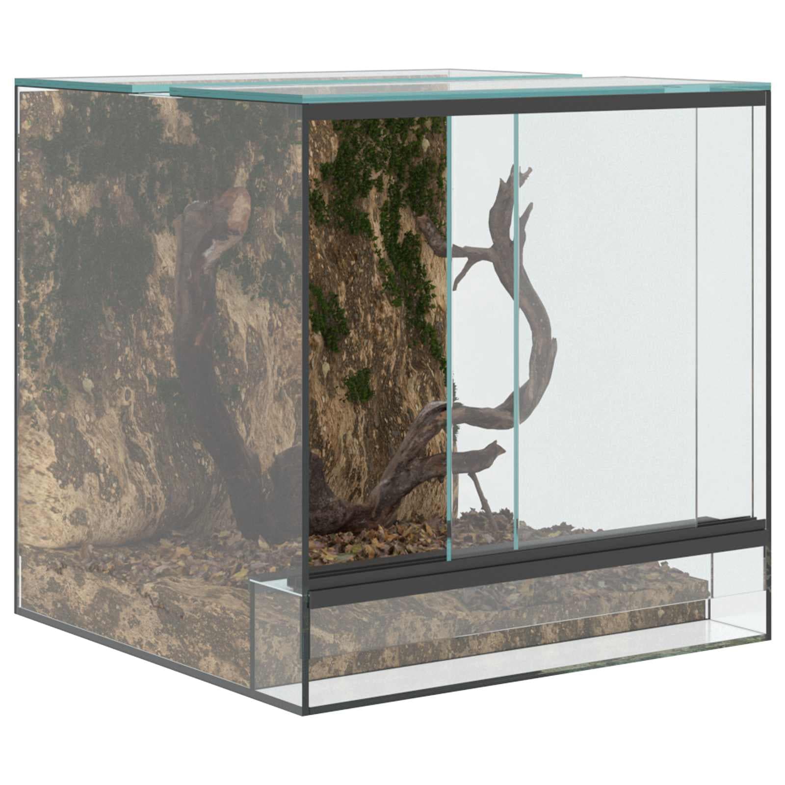 Terrario con archiviazione Trasparente 30 x 30 x 30 cm Vetro — miniatura 3 di 10