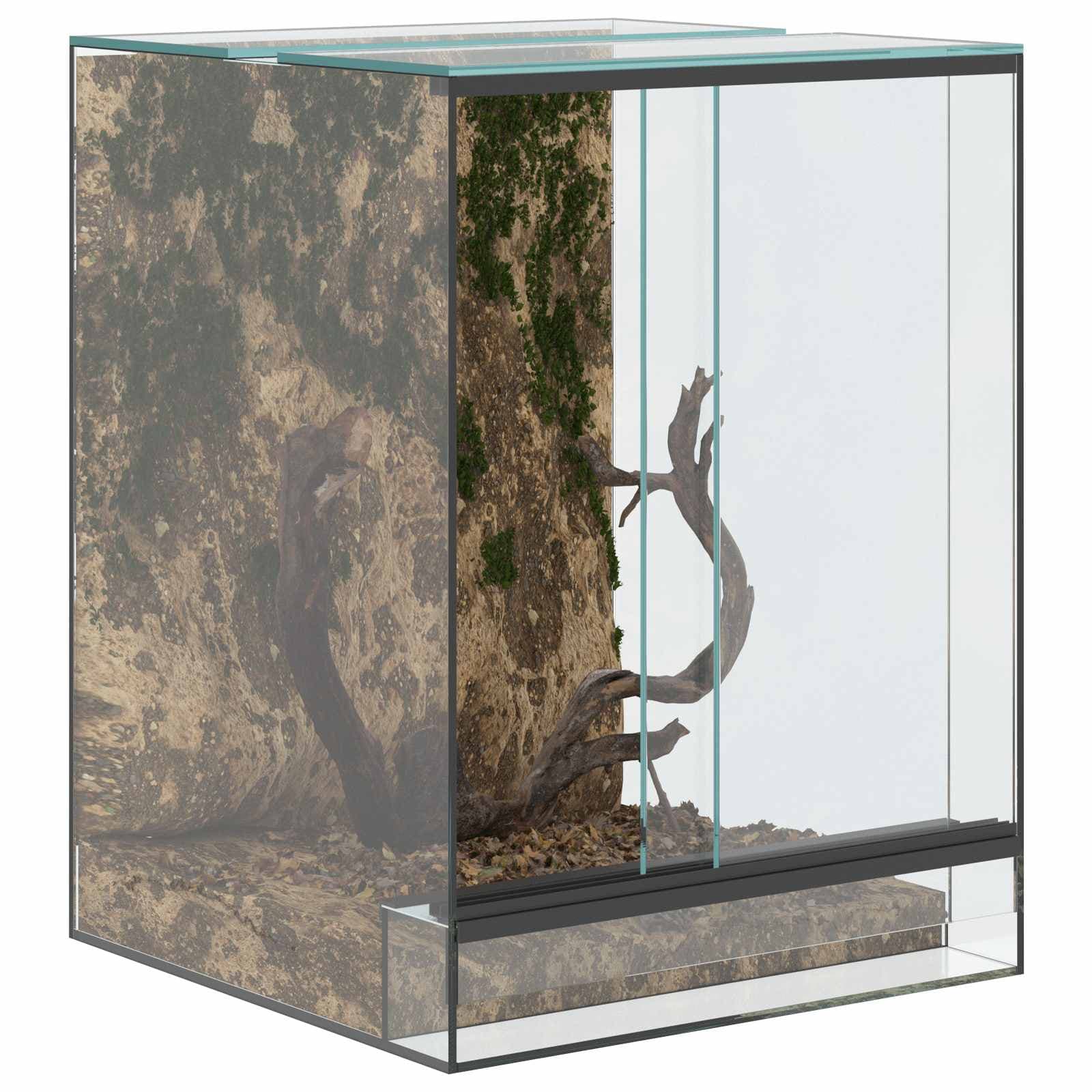 Terrario con archiviazione Trasparente 30 x 30 x 40 cm Vetro — miniatura 3 di 10