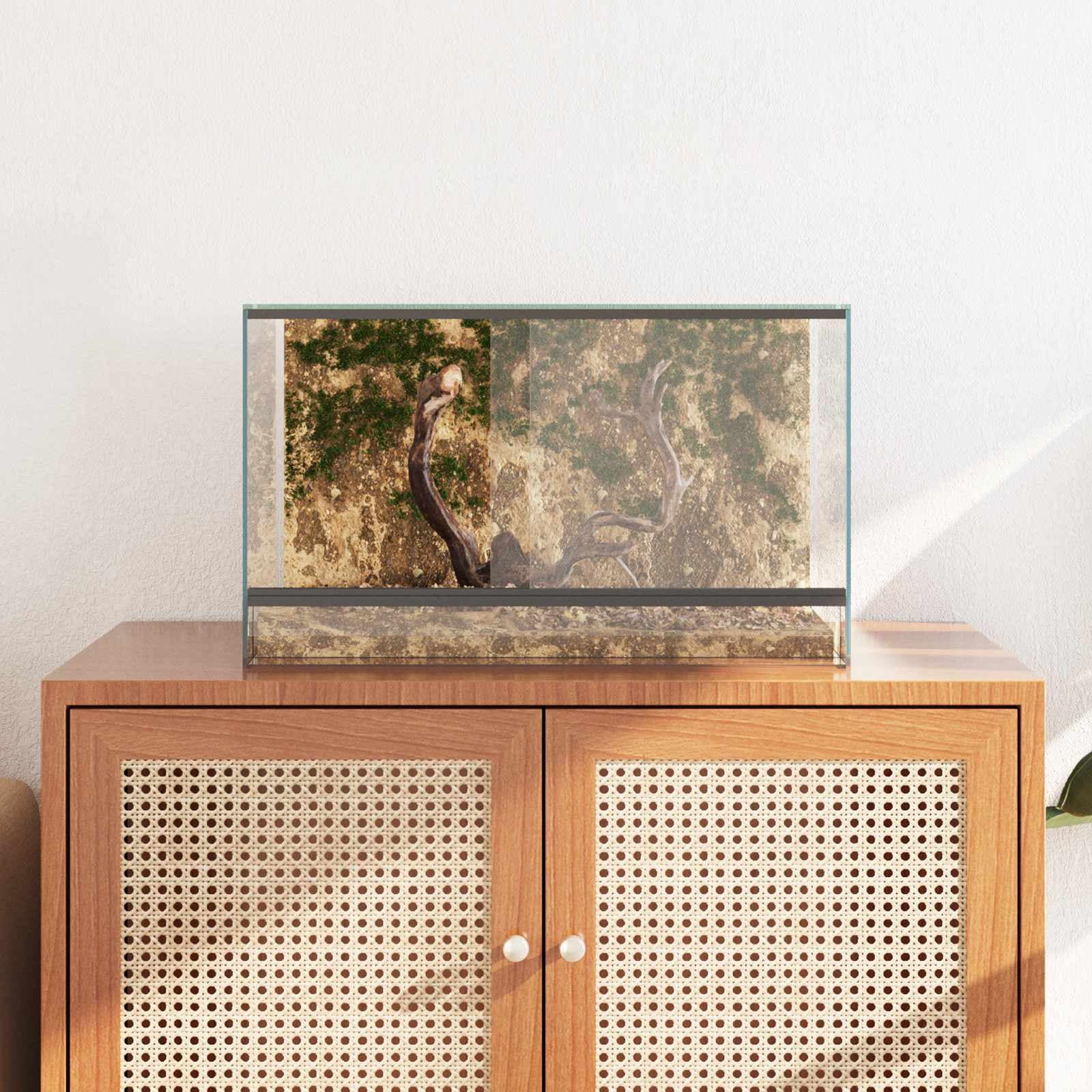 Terrario con archiviazione Trasparente 50 x 30 x 30 cm Vetro — miniatura 4 di 10