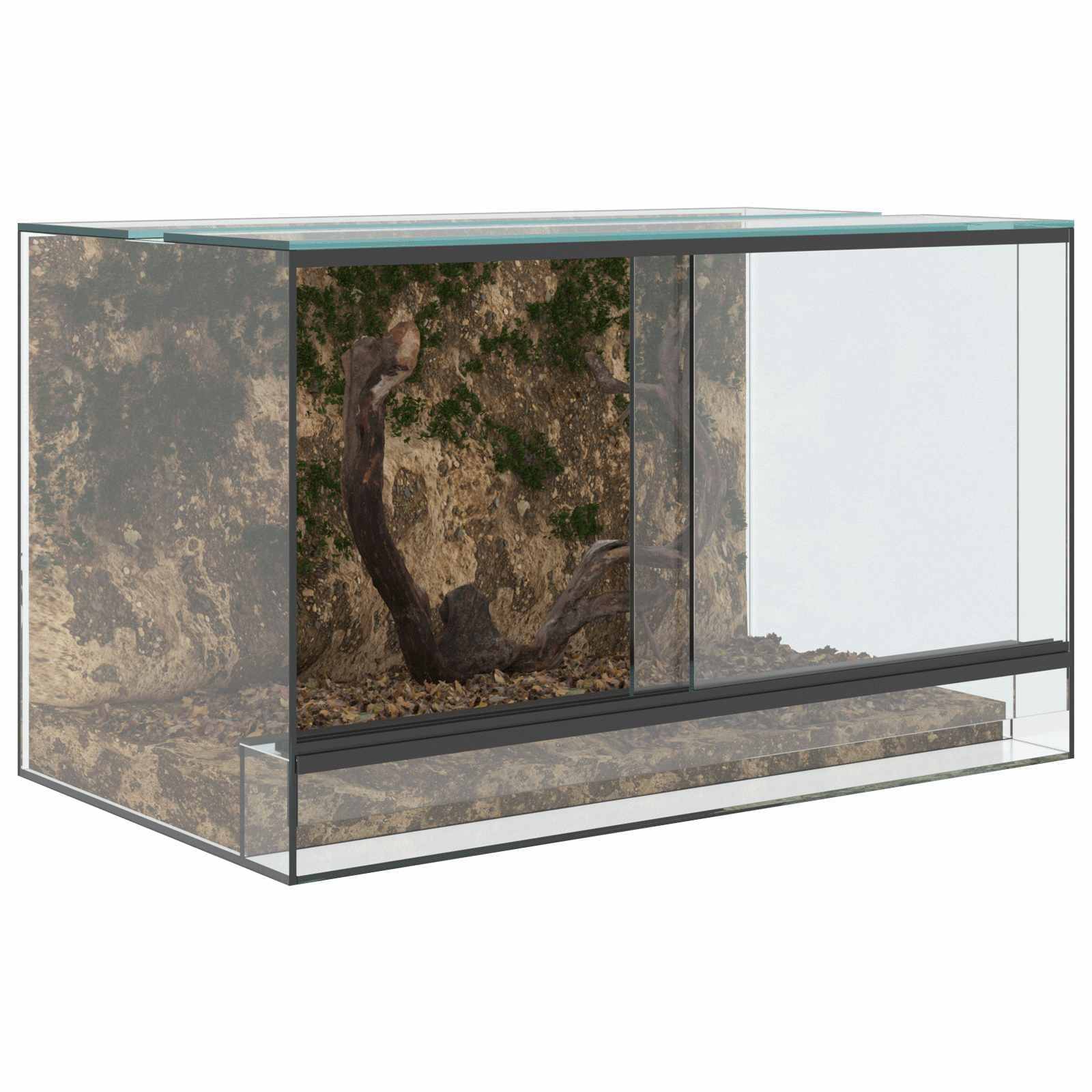 Terrario con archiviazione Trasparente 50 x 30 x 30 cm Vetro — miniatura 3 di 10