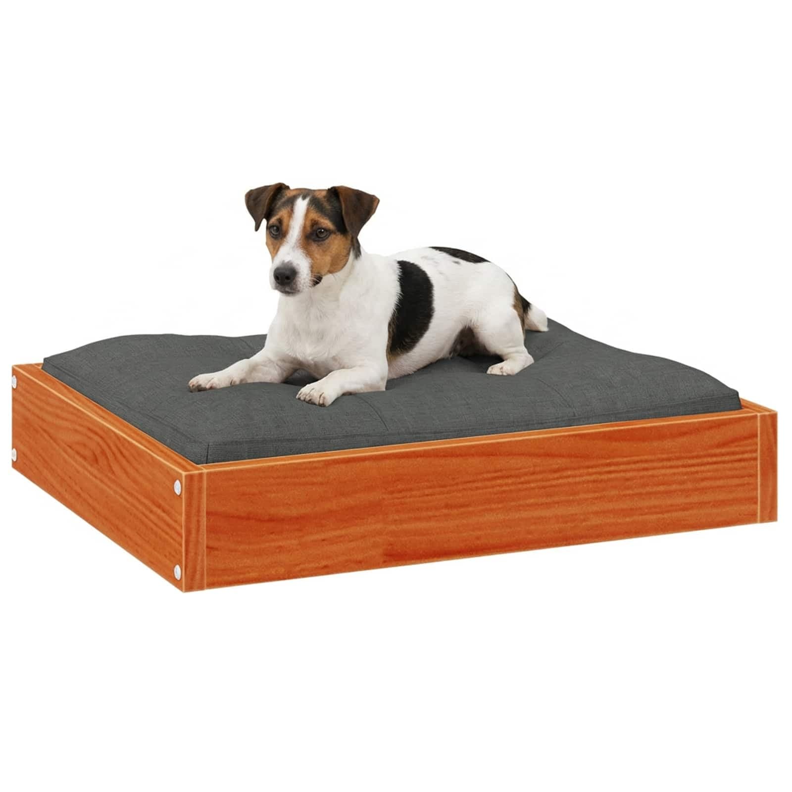 Letto per Cani Marrone cerato 51,5 x 44 x 9 cm — miniatura 3 di 7