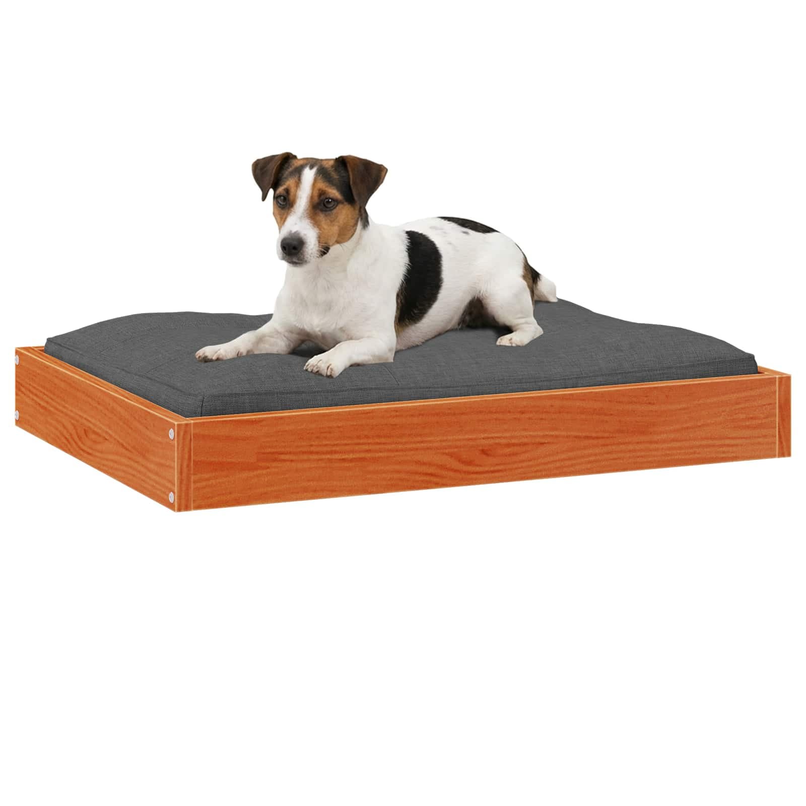 Letto per Cani Marrone cerato 72 x 54 x 9 cm — miniatura 3 di 7